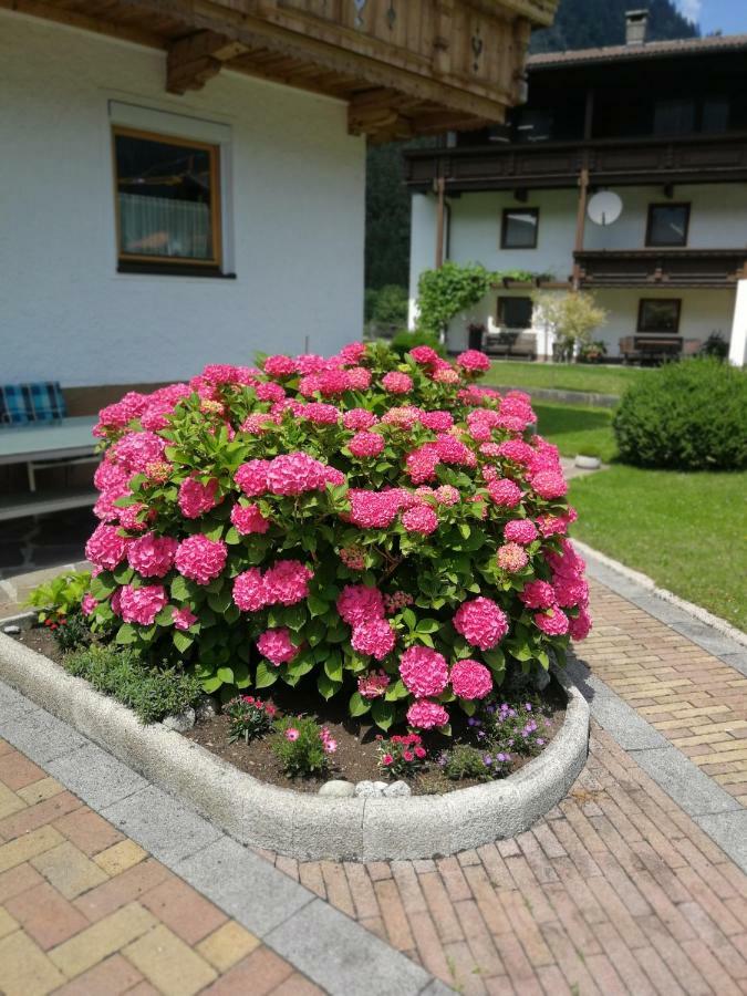 Haus Wildauer Hotel Mayrhofen Exterior photo